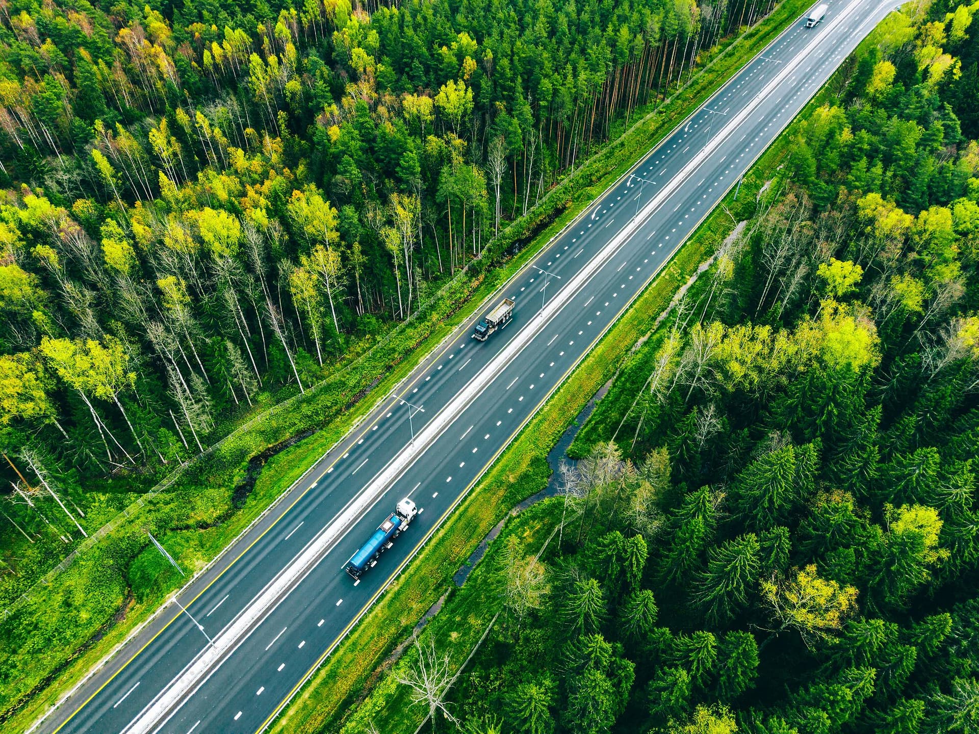 Luftaufnahme einer Straße durch dichten Wald